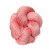 Soft Coral 04