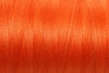 Celosia Orange 150/850