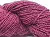 Rose 81