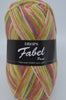 Variegated yellow pink 903