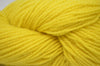Yellow 37