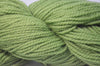 Fern green 30