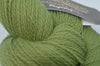 Turtle green 1027