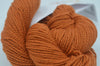 Pumpkin 069