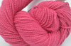 Ripe raspberry 015