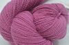 Framboise 014