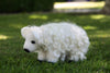 Sheep Kit