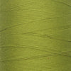 Pale Lime 4269 (Limette pale)
