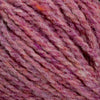 Aster