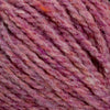 Aster