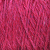 Raspberry