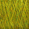 Grass