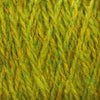 Grass