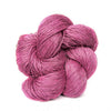 Orchid 34