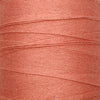 Salmon 1317 (Saumon)